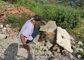 Bursa’da köpekleri zehirleyerek öldürdüler
