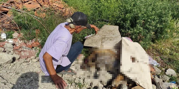 Bursa’da köpekleri zehirleyerek öldürdüler