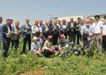 Bursa Karacabey’de karpuz şenliği