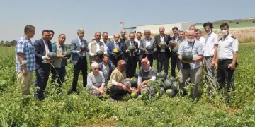 Bursa Karacabey’de karpuz şenliği