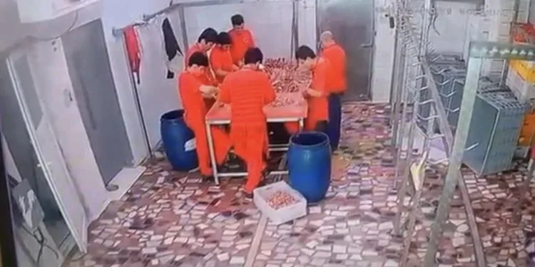 “Kokuyorsun” dedi diye kalbinden bıçakladı