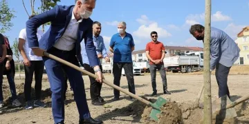 251 şehit anısına 251 ağaç toprakla buluştu