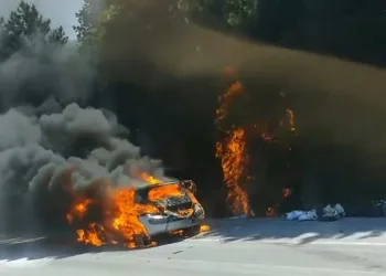 Bursa’da yanan otomobildeki alevler ormana sıçradı