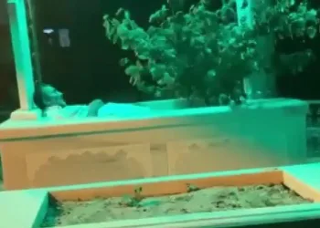 Bursa’da tapulu malım dediği yatırın içine girip yattı