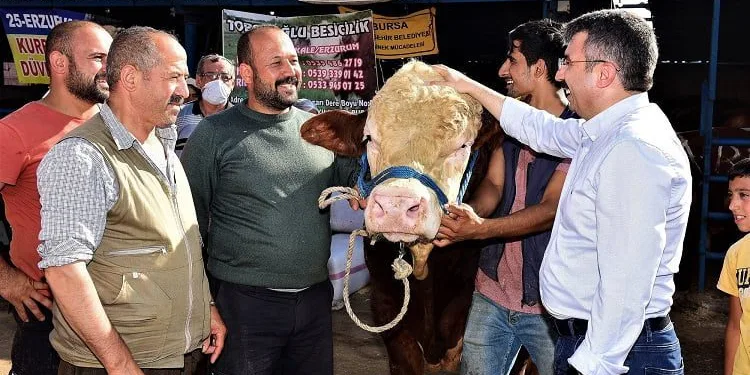 Bursa Yıldırım bayrama hazır