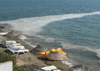 Bursa Gemlik sahillerinde yine müsilaj görüldü