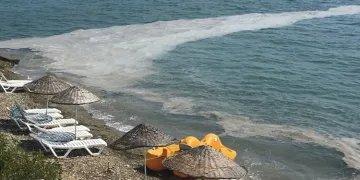 Bursa Gemlik sahillerinde yine müsilaj görüldü