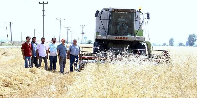 Para kazanamayan çiftçi ekim yapmıyor