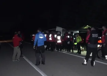 Bursa’da odun toplamaya giden kadın ormanda kayboldu