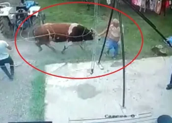 Kurbanlık boğanın saldırdığı adam öldü