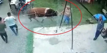 Kurbanlık boğanın saldırdığı adam öldü