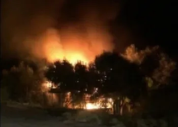 Bursa Mudanya’da bağ evinde yangın