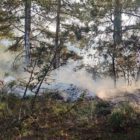 Bursa'da ormanlık alana düşen yıldırım yangına sebep oldu