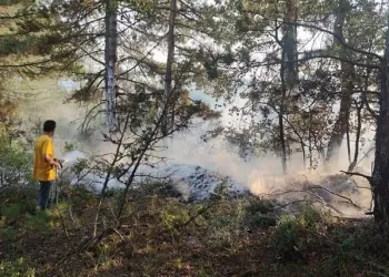 Bursa’da ormanlık alana düşen yıldırım yangına sebep oldu
