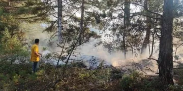 Bursa’da ormanlık alana düşen yıldırım yangına sebep oldu