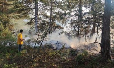 Bursa'da ormanlık alana düşen yıldırım yangına sebep oldu