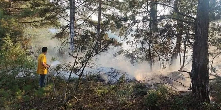 Bursa’da ormanlık alana düşen yıldırım yangına sebep oldu