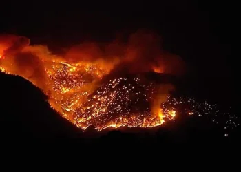 AFAD duyurdu! Manavgat’taki yangında 3 can kaybı