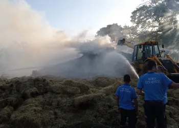 Bursa’da çiftçinin bir yıllık emeği küle döndü