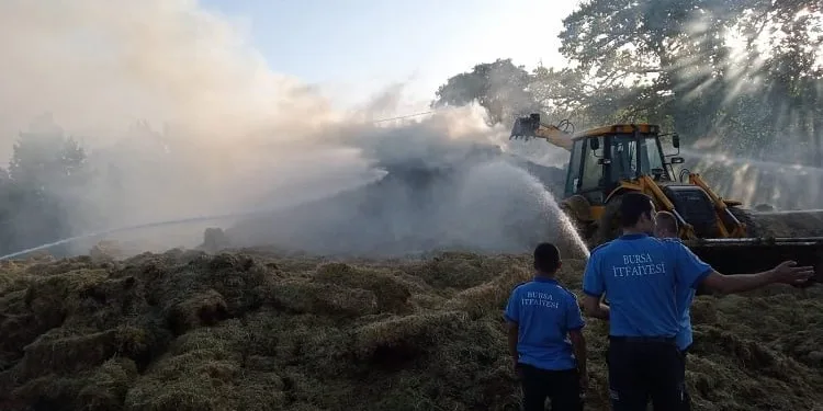 Bursa’da çiftçinin bir yıllık emeği küle döndü