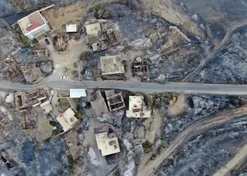 Antalya Manavgat’taki yangın kontrol altında