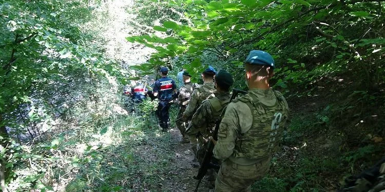 Bursa ormanları havadan ve karadan mercek altında