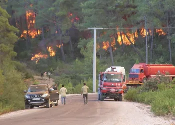 Yangın alanları afet bölgesi ilan edildi