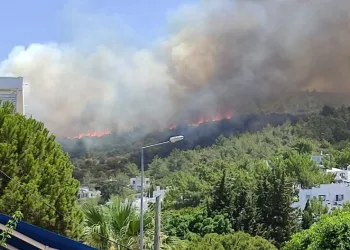 Yerleşim yerlerine yakın! Bodrum ve Hatay’da yangın