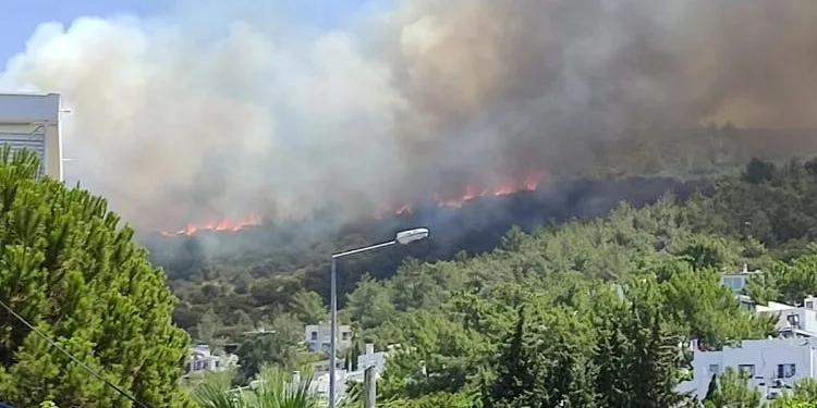 Yerleşim yerlerine yakın! Bodrum ve Hatay’da yangın