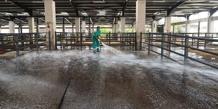 Osmangazi’de kurban temizliği