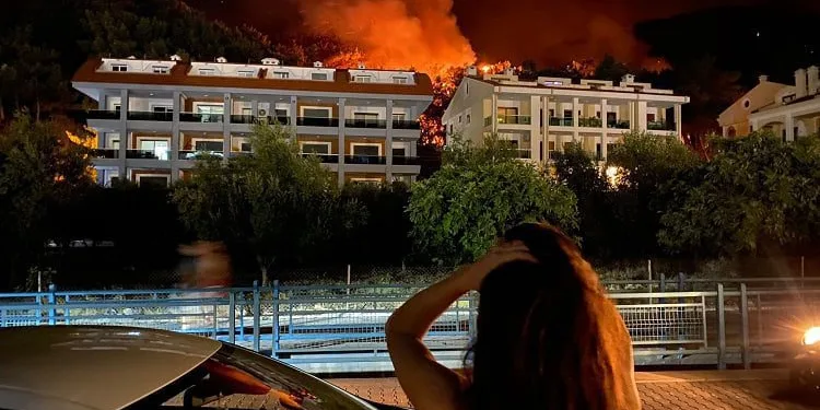 İfadeleri ortaya çıktı! Kitap yakarken ormanı yakmışlar