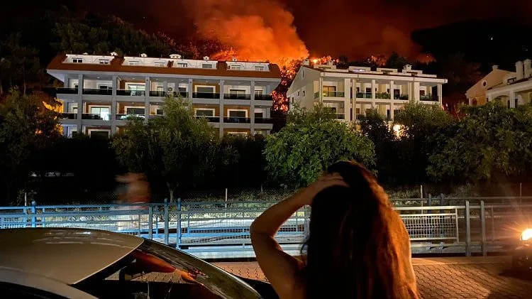 İfadeleri ortaya çıktı! Kitap yakarken ormanı yakmışlar