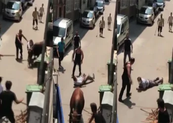 Kaçan boğa, kendisini kovalayan adamı yere serdi