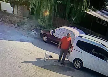 Satın almak için anlaştığı 8 küçükbaş hayvanı çaldı