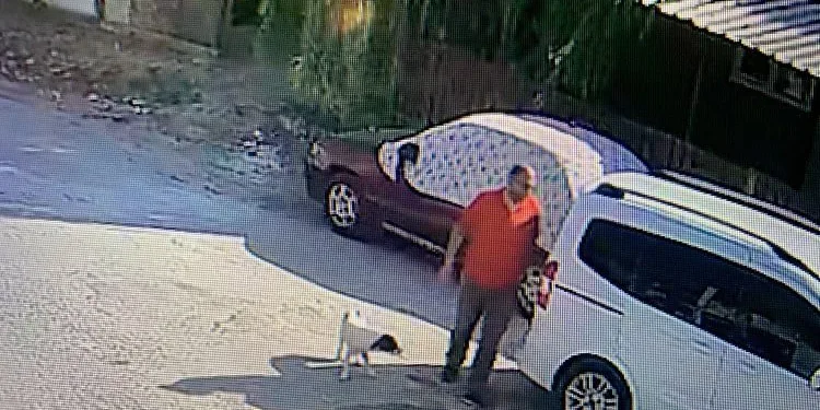 Satın almak için anlaştığı 8 küçükbaş hayvanı çaldı