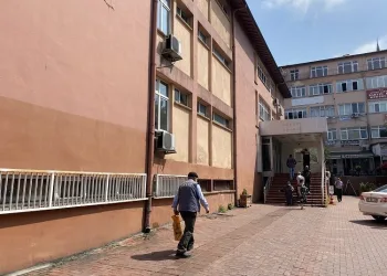 Tarlada köpeğe cinsel istismar! Hayvan Hakları Yasası’nda ilk uygulama Bartın’da