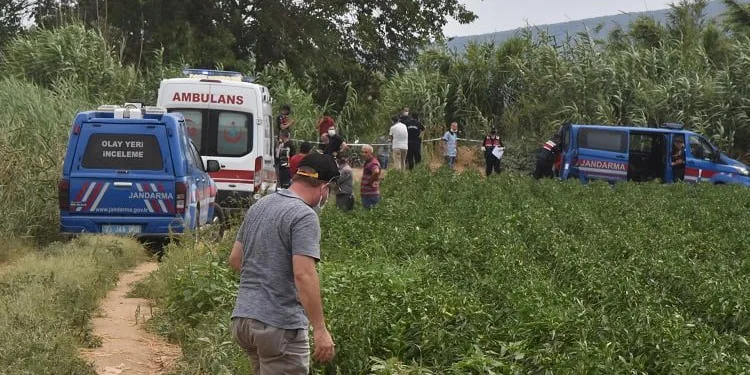 Tarlasında başından vurulmuş halde bulundu