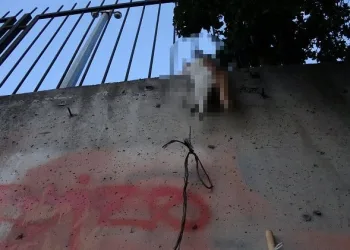 İstanbul’da vahşet! Boğazına ip bağlayıp asarak öldürdüler