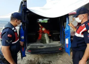 İznik Gölü’nde buldu jandarmaya haber verdi