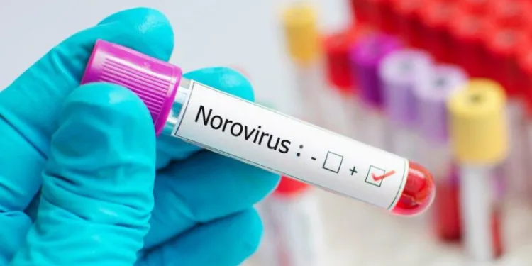Yeni tehlike ‘Norovirüs’