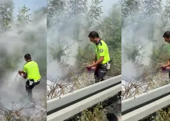 Bursa’da polislerin dikkati orman yangınını önledi