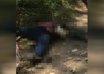 Adana’da ormanlık alanda kadın cesedi bulundu