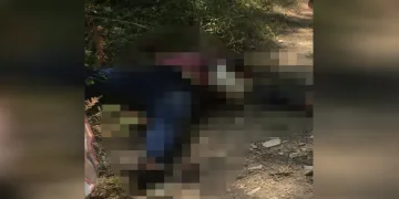 Adana’da ormanlık alanda kadın cesedi bulundu
