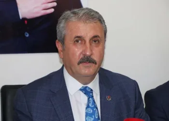 Destici’den kasıtlı olarak orman yakanlar için idam cezası talebi