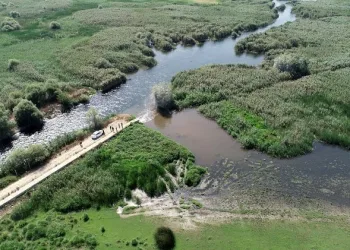Uluabat Gölü kirlilik ve kötü koku nedeniyle alarm veriyor