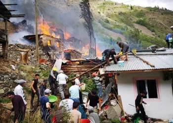 Artvin’de yangın: Diğer evlere sıçradı