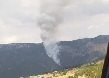 Adana Saimbeyli’de orman yangını