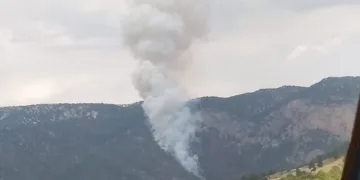 Adana Saimbeyli’de orman yangını