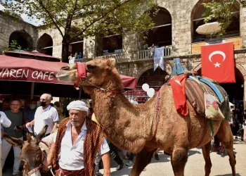 Koza Han’da develi koza mezadı