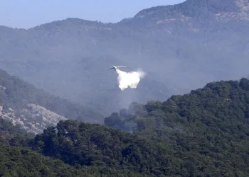 Kazdağları’ndaki yangın kontrol altında